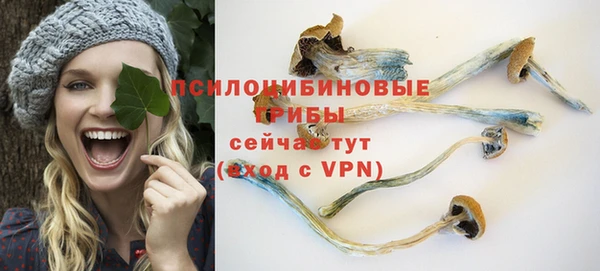 индика Лиски