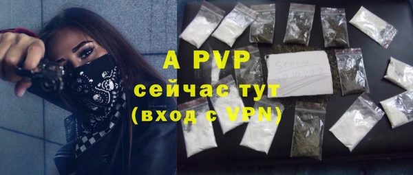 индика Лиски