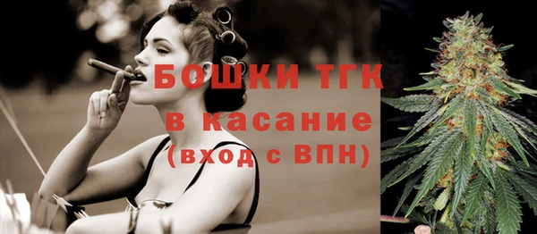 индика Лиски