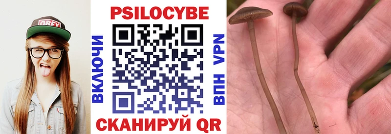 где купить   маркетплейс состав  Галлюциногенные грибы Magic Shrooms  Щучье  блэк спрут онион 